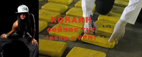 дживик Абаза