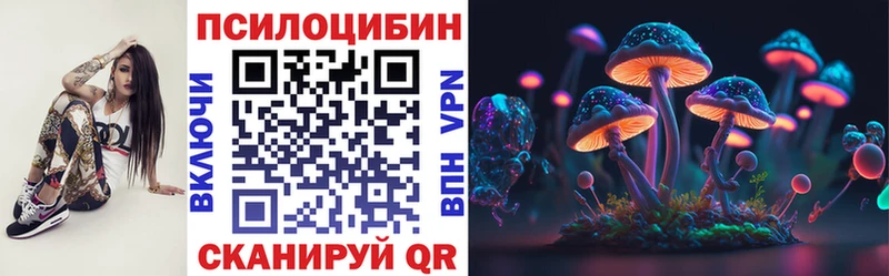 закладки  Кызыл  KRAKEN ссылки  Псилоцибиновые грибы MAGIC MUSHROOMS 